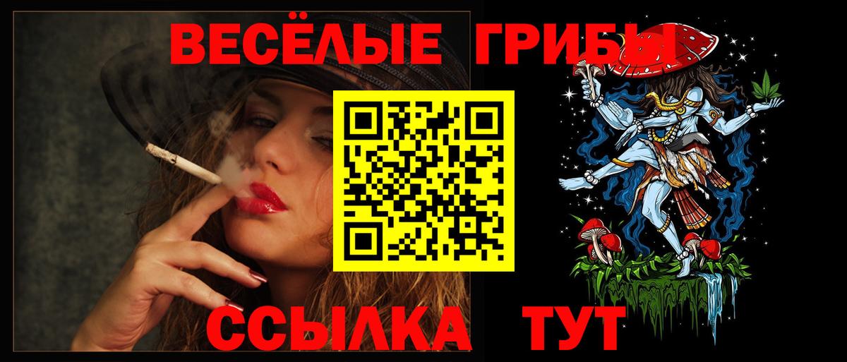 Псилоцибиновые грибы ЛСД Великий Новгород
