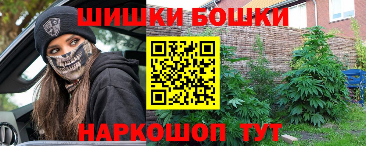 Конопля сатива Великий Новгород